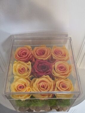  luxury acrylic box containing nine fake and realistic preserved roses.